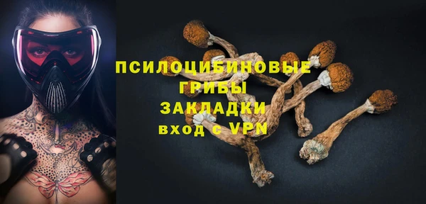 молекула духа Покачи