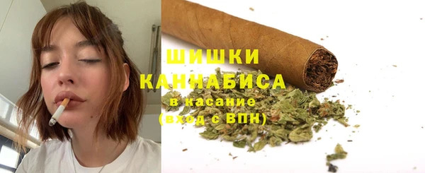 молекула духа Покачи