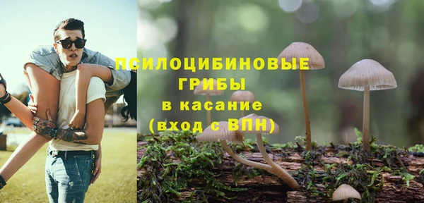 молекула духа Покачи