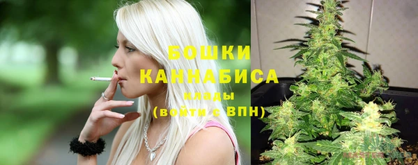 PSILOCYBIN Покровск